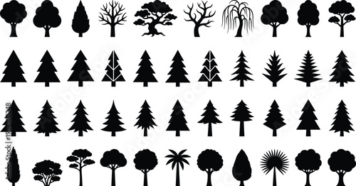 Collection of forty-four black vector diverse tree silhouettes including pine fir deciduous palm and shrub isolated on white background for nature graphic design