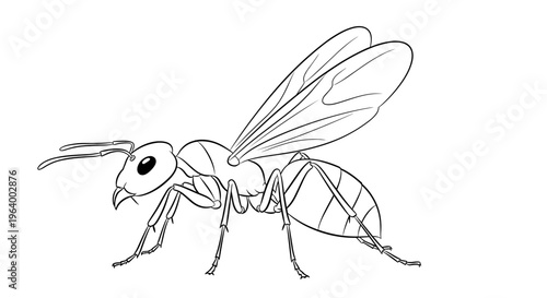Simple Line Drawing of Bee.