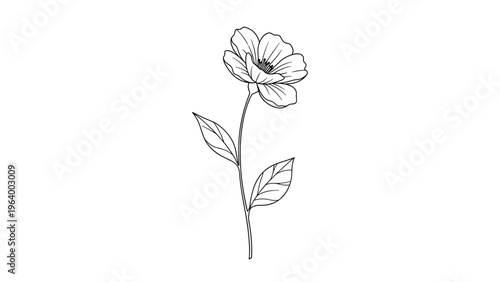 Elegant black and white line drawing of a single flower on a long stem with two leaves for minimalist botanical art projects.