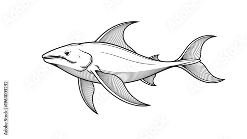 Realistic line art drawing of shark swimming with detailed gills and fins isolated on plain white background.