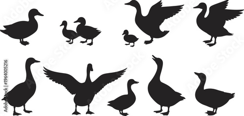 Duck silhouettes set, various poses, flying and standing ducks, bird shapes, wildlife vector, nature illustration, waterfowl, animal silhouettes