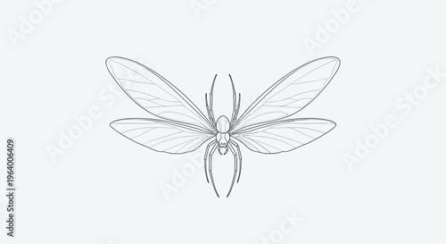 Simple Line Drawing of Moth.