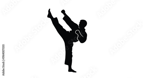 A silhouetted figure demonstrates a dynamic martial arts kick showcasing strength and flexibility in a minimalist style high quality professional detailed