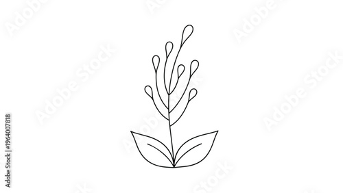 Simple black and white line drawing of an abstract plant sprig with two leaves at the base and seed pods on top.