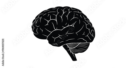A stark black silhouette depicts a human brain showcasing its complex folds and anatomical structure high quality professional detailed modern elegant