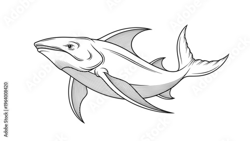 Powerful prehistoric shark or fish is depicted in a detailed woodcut or engraving style swimming across white space.