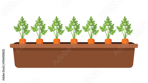 Row of several bright orange carrots with leafy green tops grows healthily inside a long brown rectangular planter.