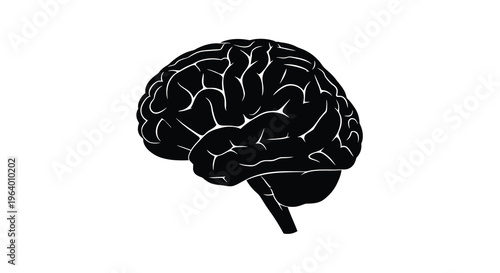 A stark black silhouette depicts a human brain showcasing its complex folds and anatomical structure against a white backdrop high quality