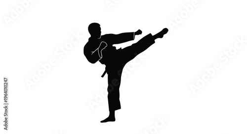 A stark silhouette depicts a martial artist executing a dynamic side kick showcasing power and discipline high quality professional detailed modern
