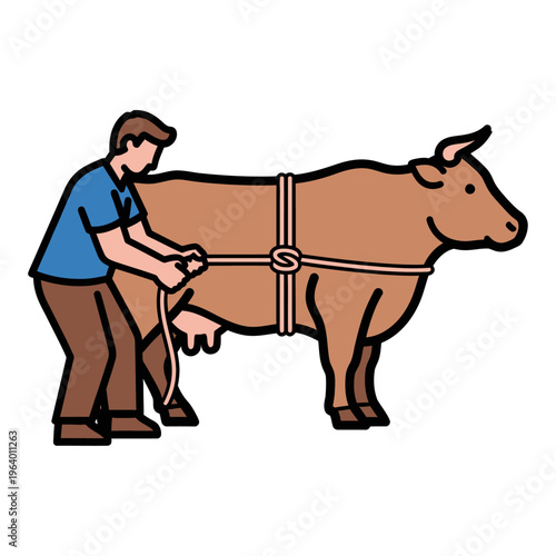 Man Tying Up Cow for Eid al-Adha Celebration and Sacrifice Ritual
