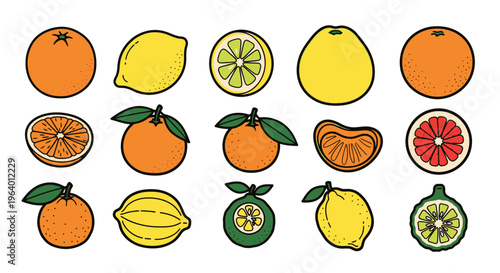 Assorted citrus fruits in cartoon style.