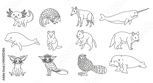 Collection of various animal line drawings 4.