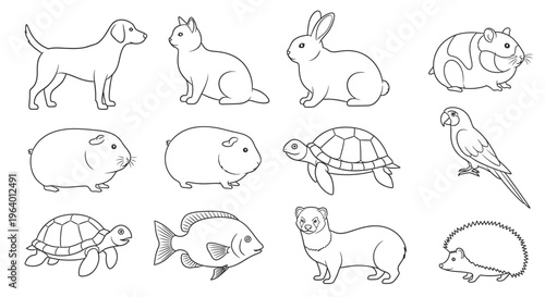 Collection of various cute animal drawings 1.
