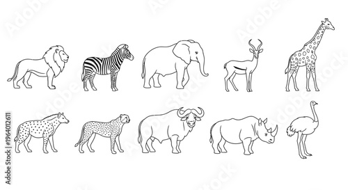 Collection of various wild animals standing 4.