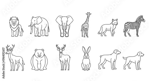Collection of various wild animals standing 5.