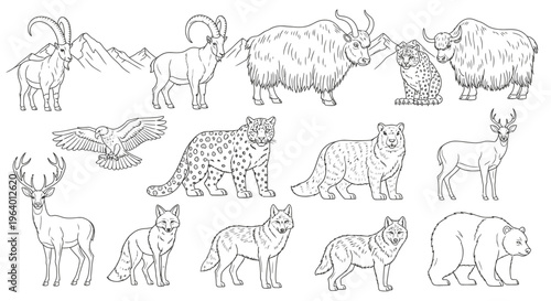Collection of various wild animals standing 3.