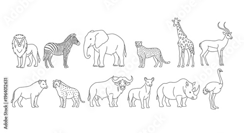 Collection of various wild animals standing 7.