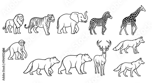 Collection of various wild animals walking 1.