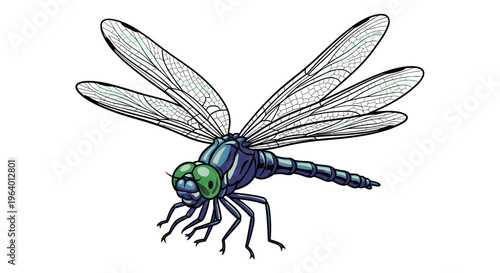 Dragonfly Insect with Large Wings Closeup.