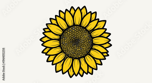 Large Yellow Sunflower Close Up View.