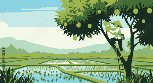 Man picking oranges from tree branch.