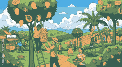 Men harvesting oranges from tree.