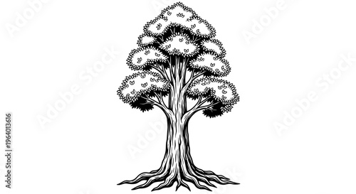 Tree with thick trunk and roots 1.