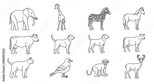 Variety of Animals Line Drawings 1.
