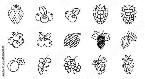 Variety of fruit icons line art 16.