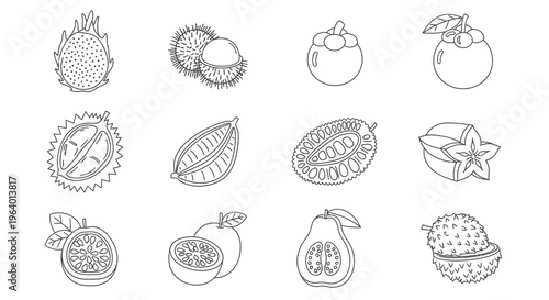 Variety of fruit icons line drawings.