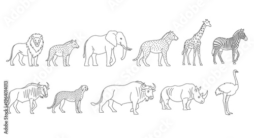 Various animals in a line drawing 1.