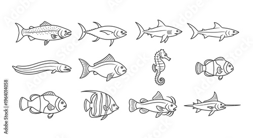 Various types of fish illustrations.