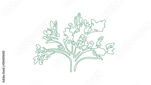 Wild plant shrub outline with jagged leaves for naturalistic landscape and garden sketches.