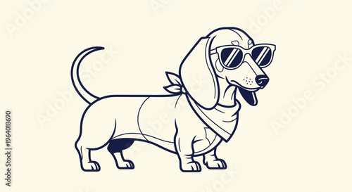 Cool dachshund dog wearing sunglasses and bandana.