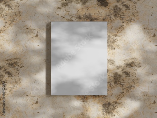 Tableau sur toile lank Canvas on Rustic Textured Wall with Natural Light and Shadow Play Creating