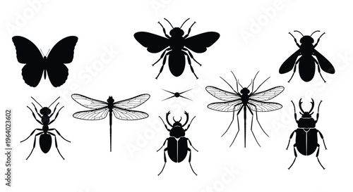 Collection of various insect silhouettes including butterfly ant dragonfly bee mosquito and beetles
