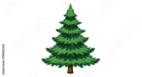 Green evergreen pine tree illustration with dense needles and a brown trunk suitable for nature, forest, or holiday themed designs.
