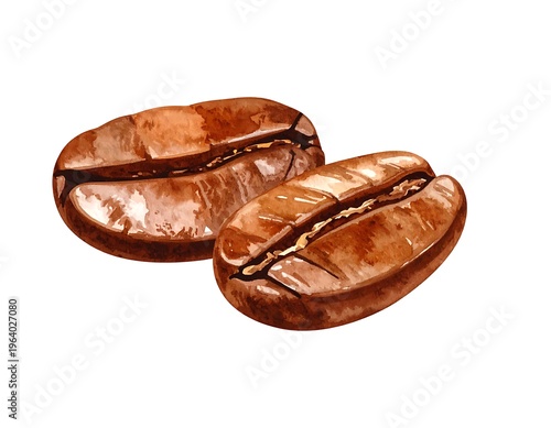 Two shiny, roasted coffee beans with a golden-brown hue, isolated on a white background, watercolor style