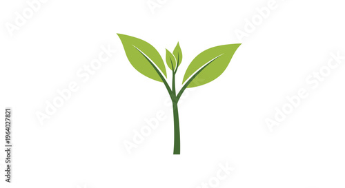 Small green plant sprout with young leaves growing from a single stem represents new life, environmental growth, and nature conservation efforts.