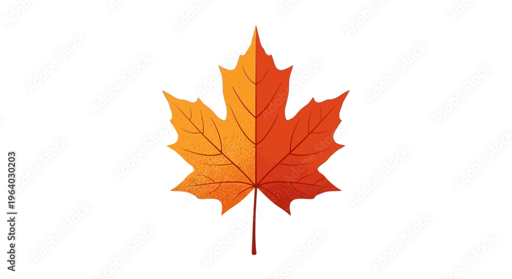 Fototapeta premium Colorful maple leaf closeup detail.
