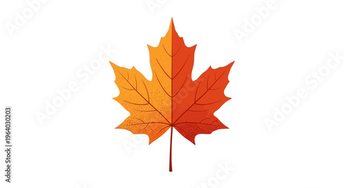 Colorful maple leaf closeup detail.