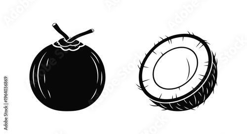 Vector illustration of black and white coconut icon set