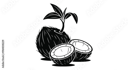 Vector illustration of coconut with sprout and halved coconut pieces vector illustration