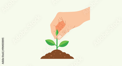 Hand Planting Small Green Sprout.