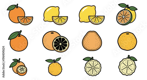 Cartoon oranges and lemons illustration.