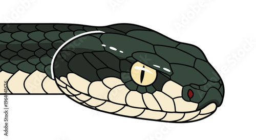 Close up of snake head details.