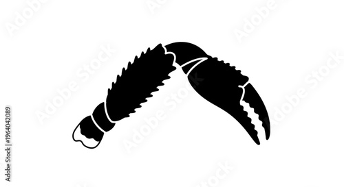 A high-resolution black silhouette vector illustration of a fish's tail fin is displayed prominently in the center.