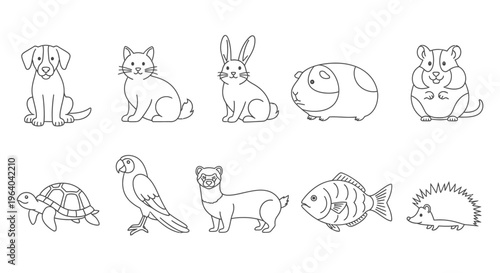 Collection of various cute animals line art.
