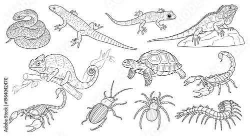 Collection of various reptiles and insects.