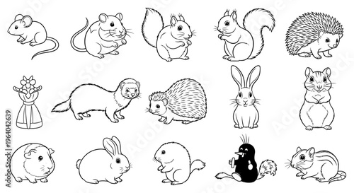 Collection of various small cute animals 1.